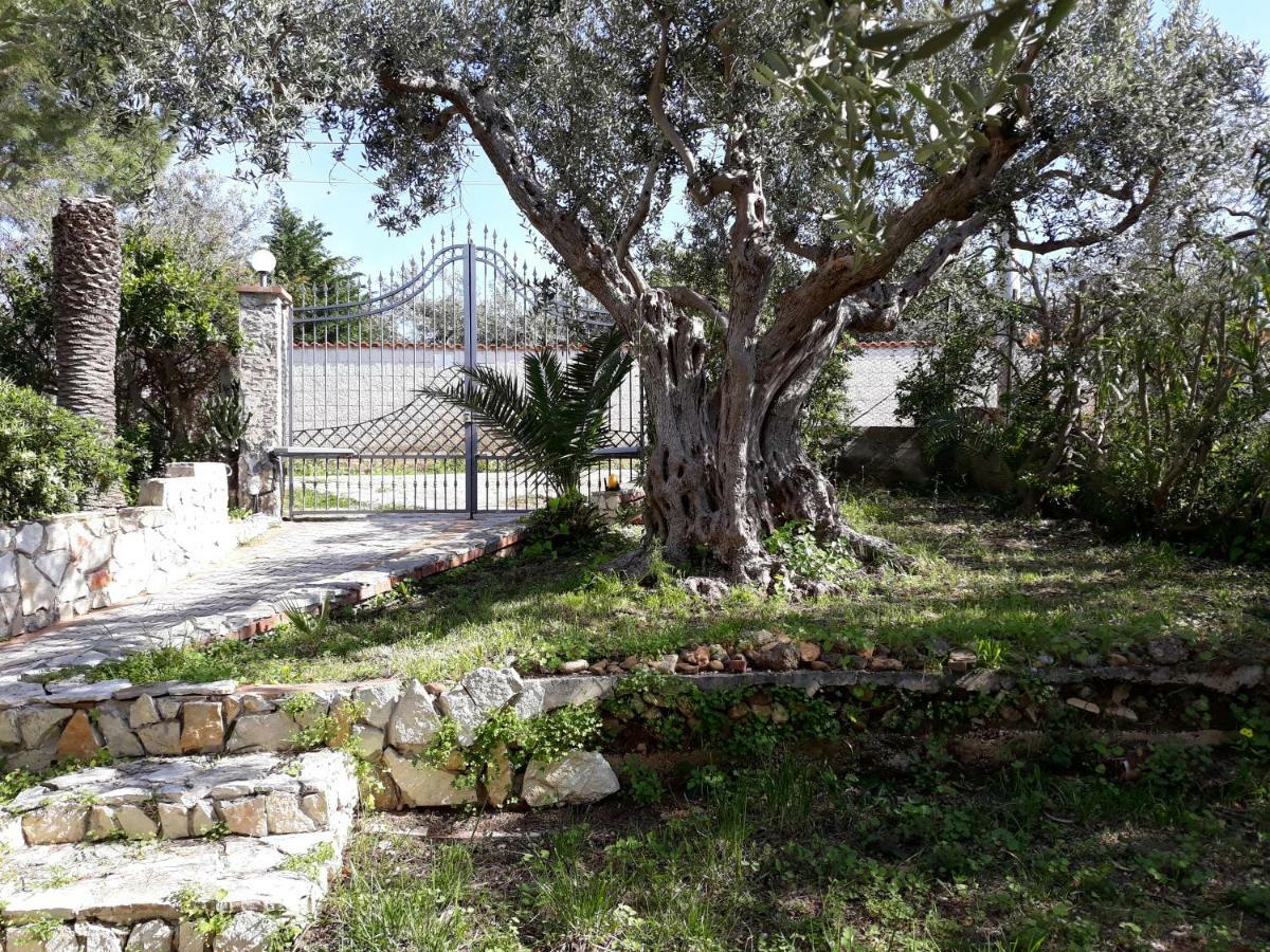 Villa Belvedere Michelle Trappeto  Exterior foto